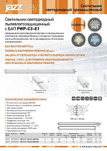 Светильники пылевлагозащитные с БАП PWP-C3-E1